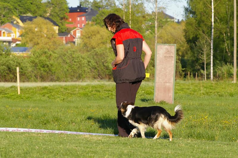 25.5.09 002 (49).jpg